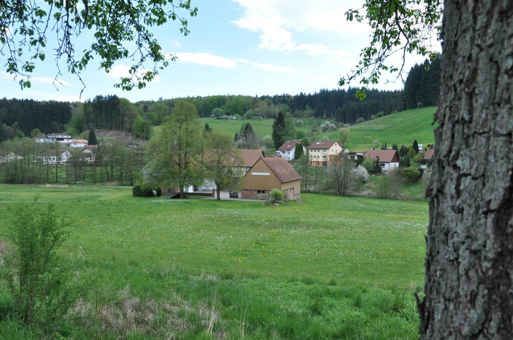 Ferienwohnungen Zur Muehle Mossautal Екстер'єр фото